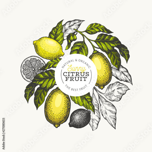 Lemon tree logo template. Hand drawn vector fruit illustration. Engraved style banner. Vintage citrus design.