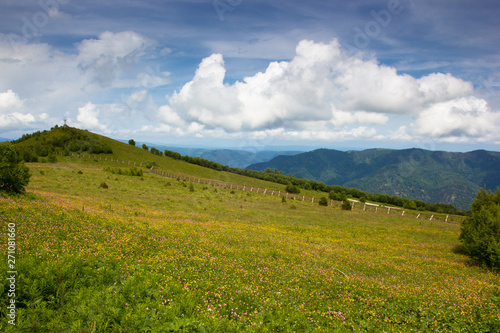 view of mountains flowers in the mountains