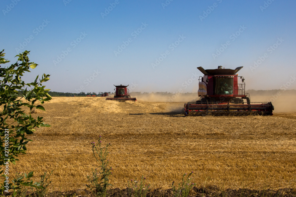 Obraz premium combine harvester working on field