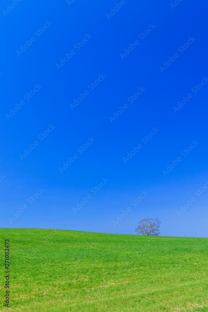 青空と草原背景イメージ北海道美瑛stock Photo Adobe Stock