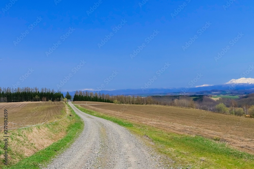 青空と草原と道  背景イメージ　北海道美瑛