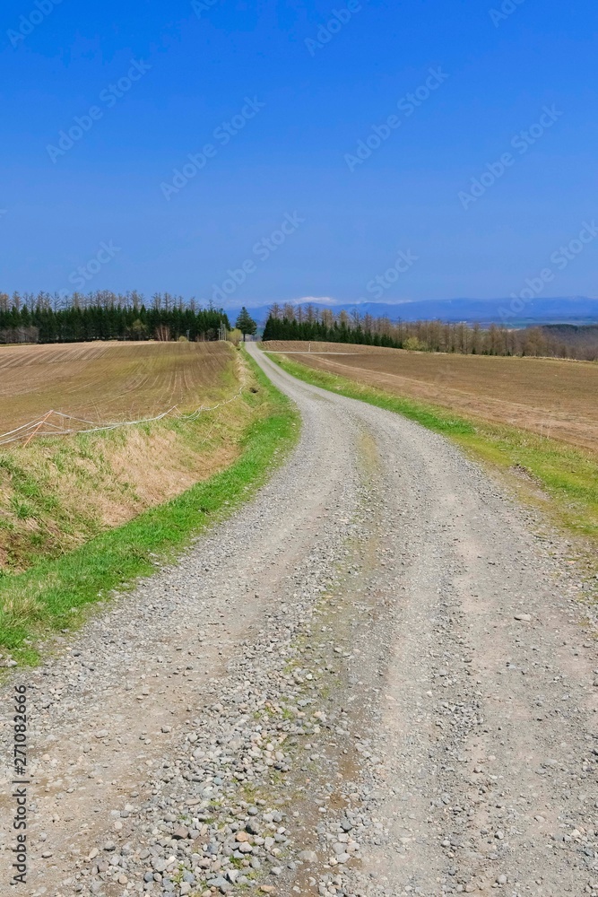 青空と草原と道背景イメージ北海道美瑛stock Photo Adobe Stock
