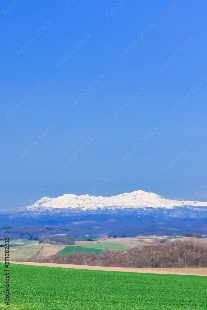 Fototapeta premium 北海道美瑛 青空と草原と残雪