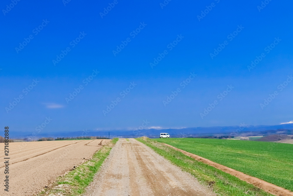 Fototapeta premium 北海道美瑛 青空と草原と道