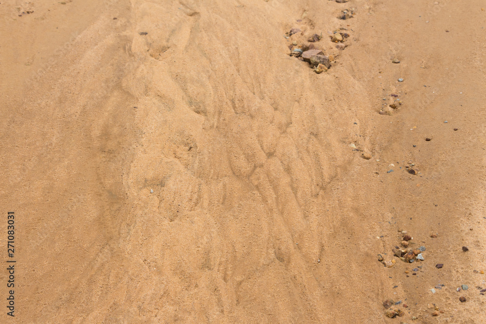 The sandy land and gravel in the wilderness are eroded by wind and rain, leaving a beautiful texture. The sandy land and gravel in the wilderness are eroded by wind and rain, leaving a beautiful texture.
