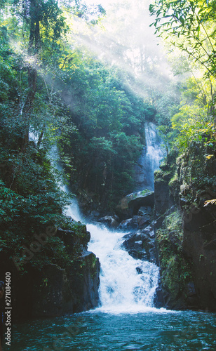 Fototapeta Naklejka Na Ścianę i Meble -  The beauty of the waterfall in the forest.
