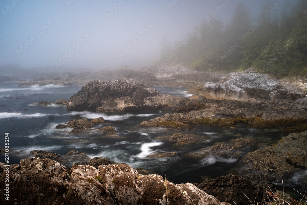 Fog envelops the rugged Wild Pacific Rim Trail, Ucluelet, on the Ucluelet Peninsula on the west coast of Vancouver Island in British Columbia, Canada, nobody in the image Fog envelops the rugged Wild Pacific Rim Trail, Ucluelet, on the Ucluelet Peninsula on the west coast of Vancouver Island in British Columbia, Canada, nobody in the image