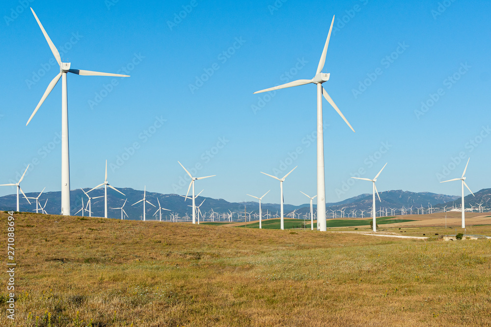 Wind turbines in the field to obtain wind energy. Renewable energy. Cadiz, Spain. Wind turbines in the field to obtain wind energy. Renewable energy. Cadiz, Spain.