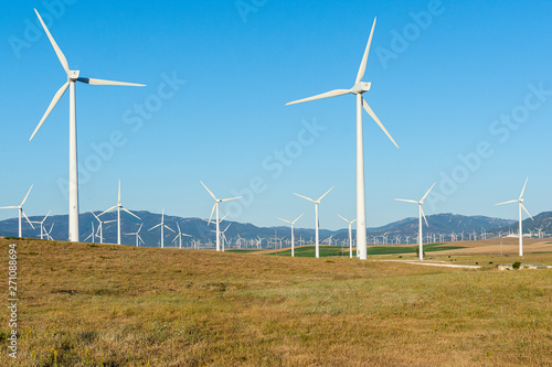Wind turbines in the field to obtain wind energy. Renewable energy. Cadiz, Spain.