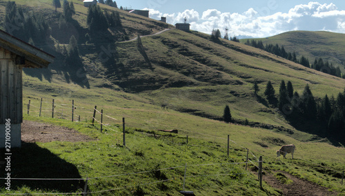 Alp Palfries, the largest Summer meadow in East Switzerland photo