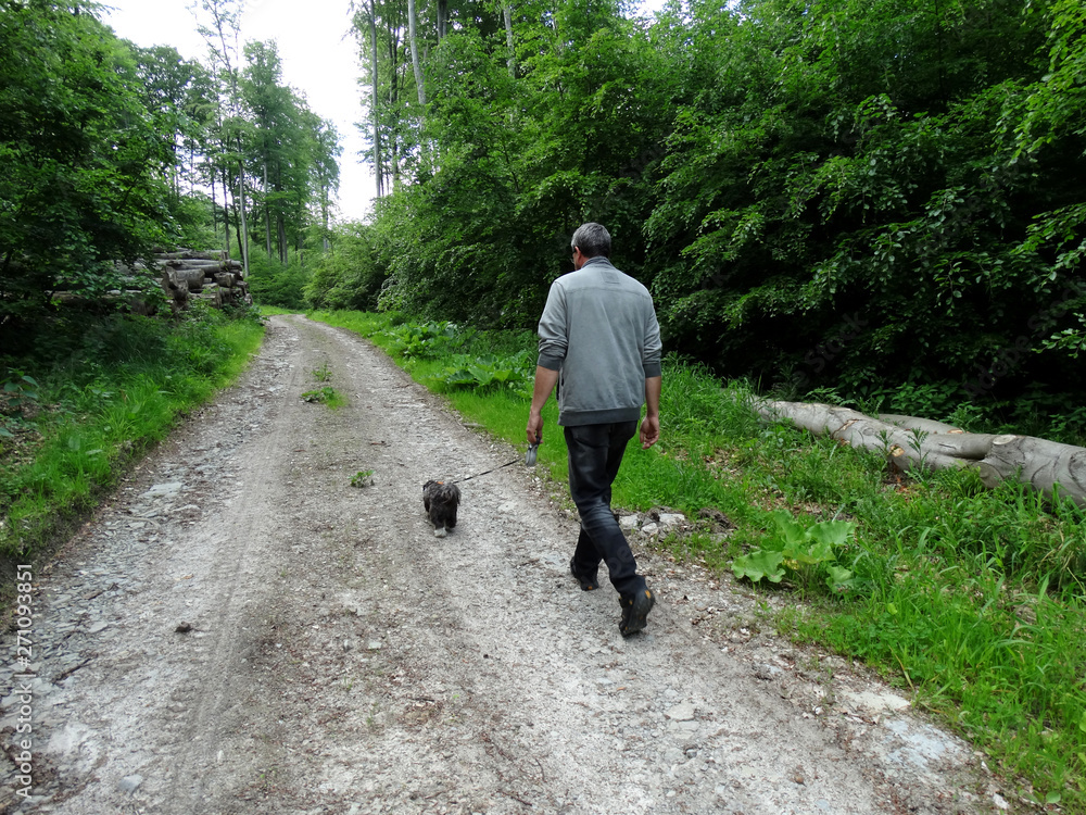 Beim Gassi gehen mit dem Hund