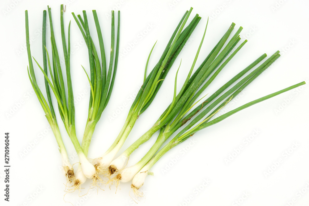 fresh green onion isolated on white background fresh green onion isolated on white background