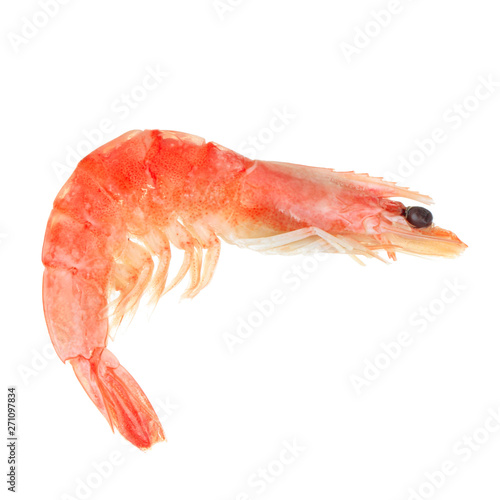 fresh boiled shrimp isolated on white background