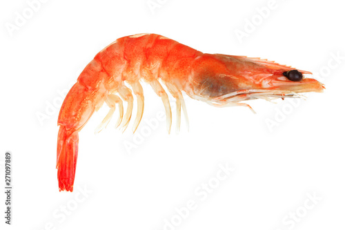 fresh boiled shrimp isolated on white background