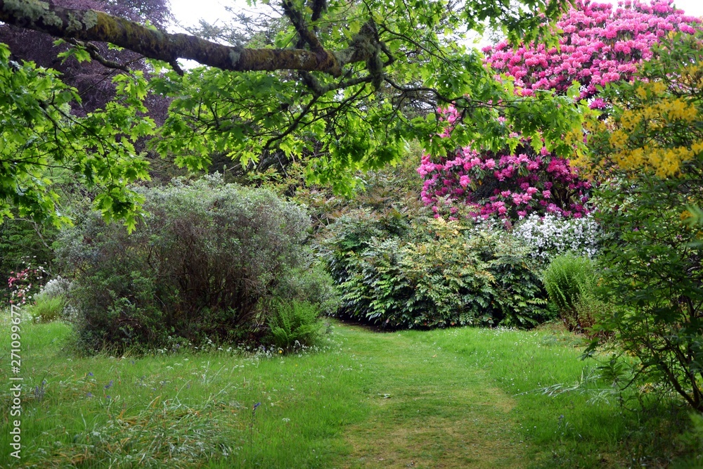 Garten Garten