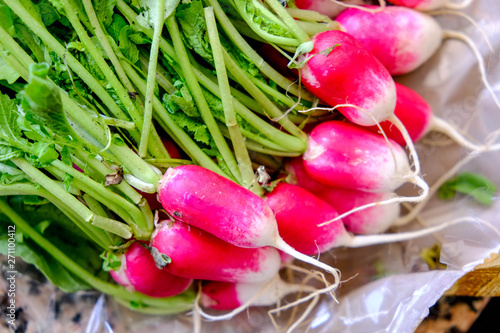 Bunch of Fresh Salad Raddishes photo