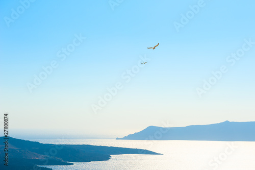 Seagulls soar in the blue sky over the sea. Santorini island, Greece