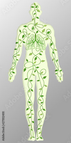 Paper art , cut and craft style of green eco leaf tree with lungs cycle in the human body as Ecology, fresh air, Life and environment conservation creative idea concept. Vector illustration.