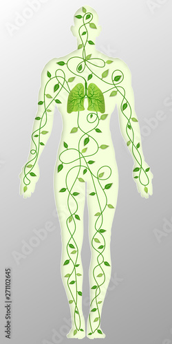 Paper art , cut and craft style of green eco leaf tree with lungs cycle in the human body as Ecology, fresh air, Life and environment conservation creative idea concept. Vector illustration.