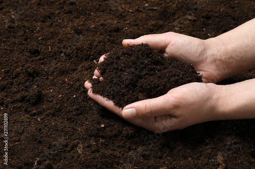 Woman holding fertile soil in hands, closeup. Gardening season