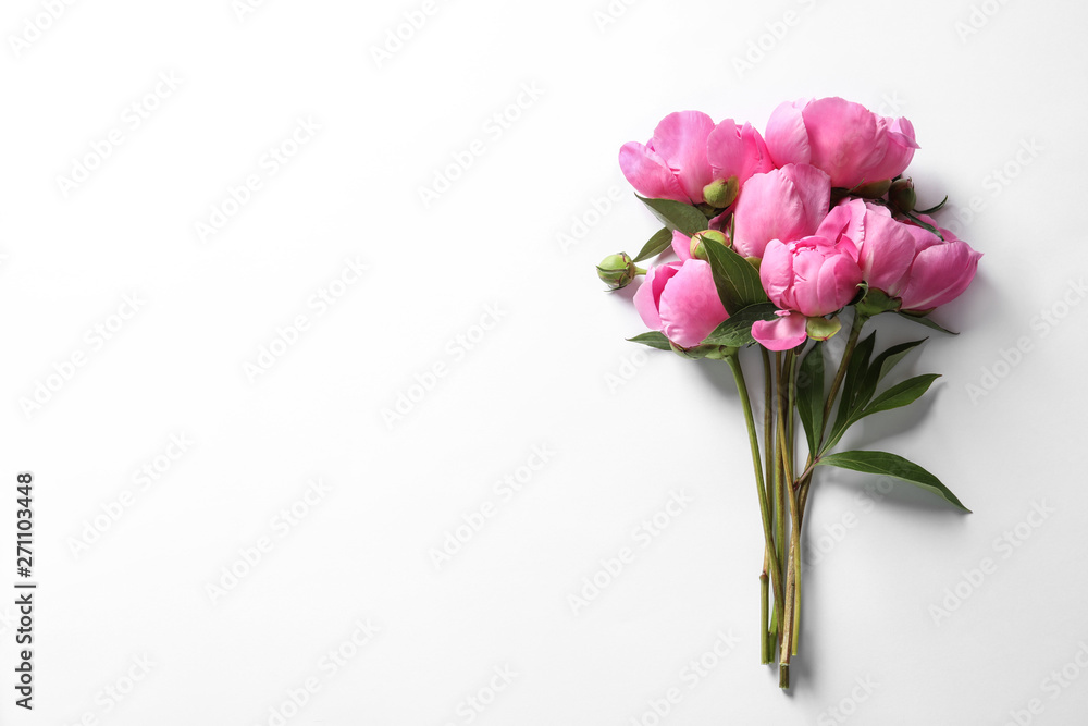 Fragrant peonies on white background, top view. Beautiful spring flowers