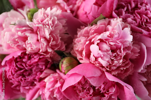 Fragrant peonies as background  closeup view. Beautiful spring flowers