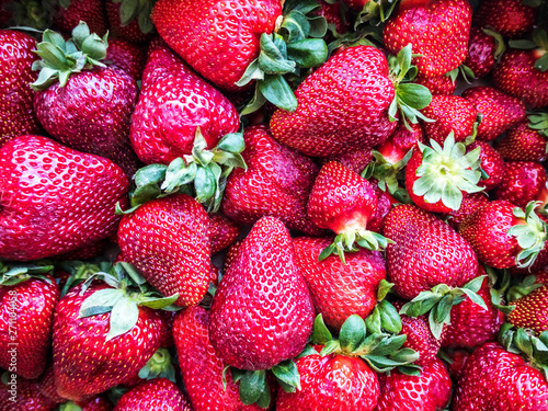 Big red tasty strawberries close angle. Russia Sochi photo