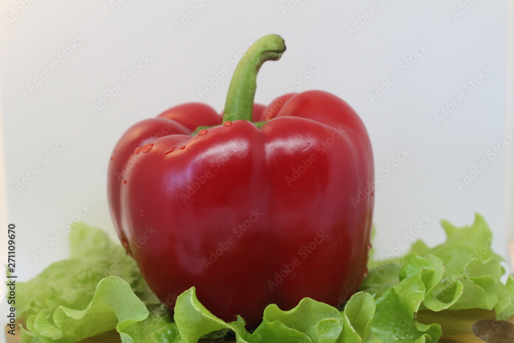 green pepper on white background with greenery green pepper on white background with greenery