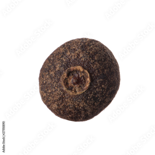 single allspice isolated on white background © lewal2010