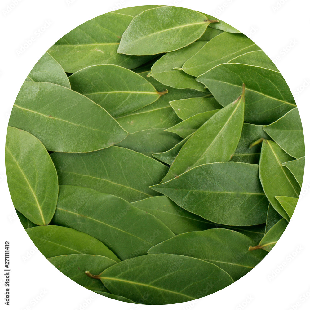 laurel (bay leaf) background laurel (bay leaf) background