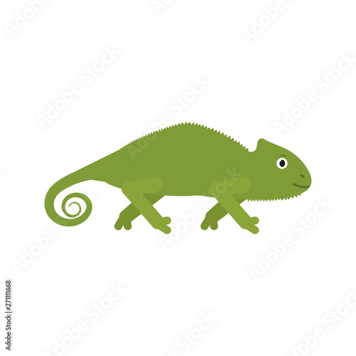 Chameleon icon in flat style  african animal vector illustration