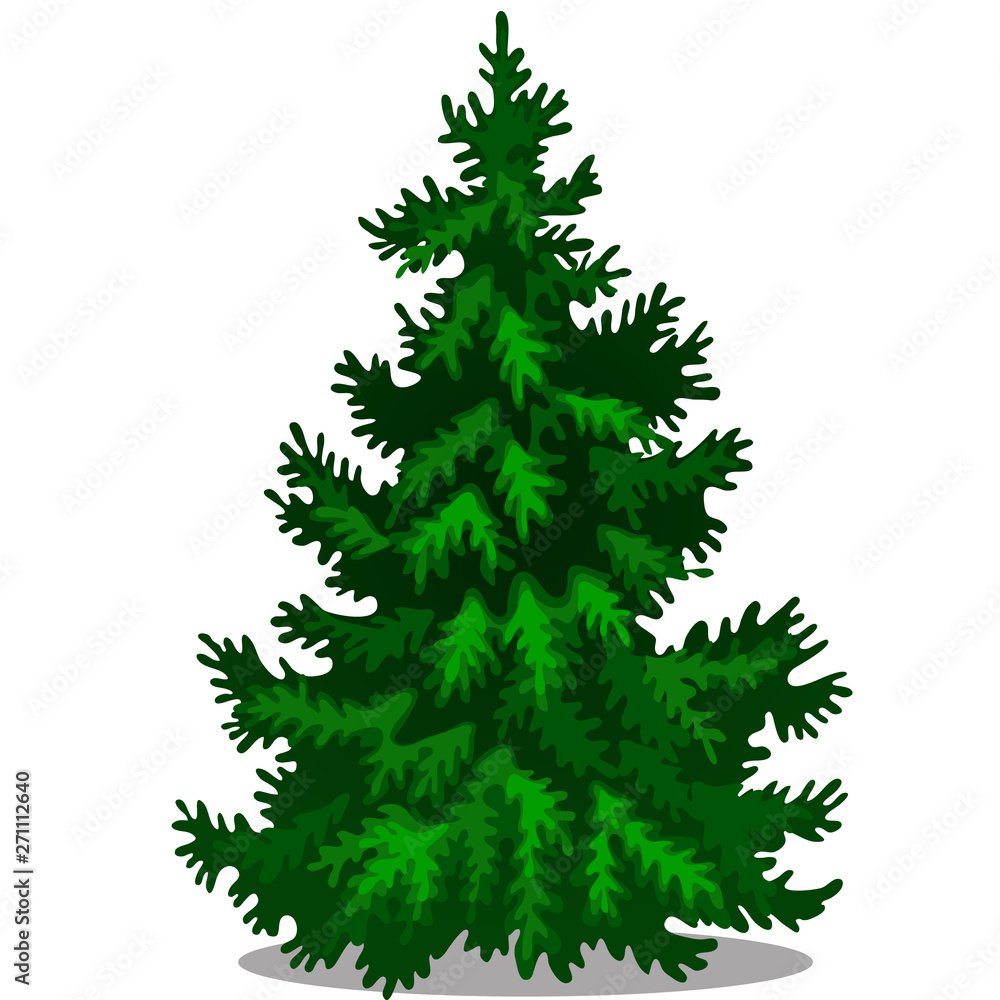Christmas tree isolated on white background. Sample of poster, party holiday invitation, festive card. Vector cartoon close-up illustration. Christmas tree isolated on white background. Sample of poster, party holiday invitation, festive card. Vector cartoon close-up illustration.