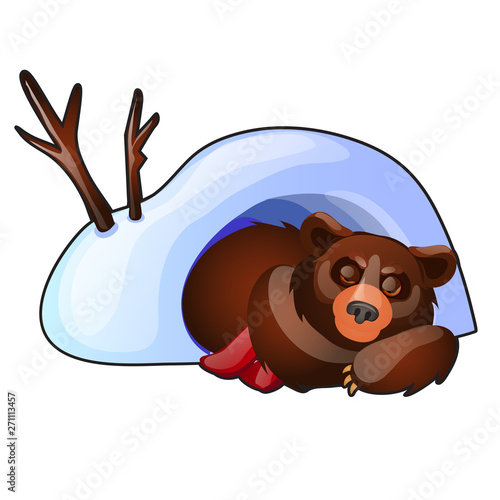 The bear is sleeping in a snow den isolated on white background. Vector cartoon close-up illustration.