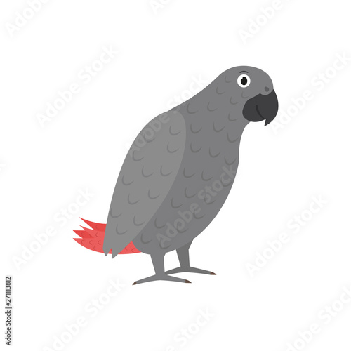 Jaco parrot icon in flat style, african animal vector illustration
