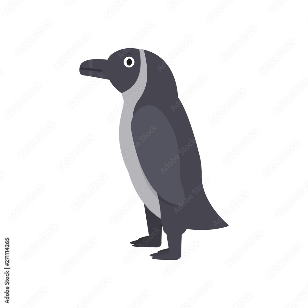 Obraz premium Penguin icon in flat style, african animal vector illustration