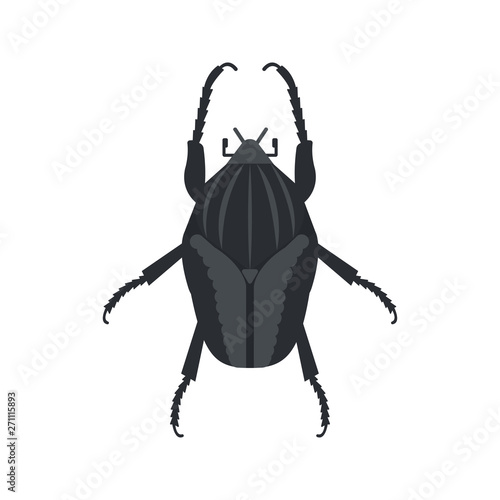 Goliath beetle icon in flat style, african animal vector illustration