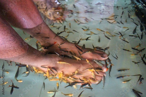 The young man soaked his feet in the water with a small fish, a fish foot spa