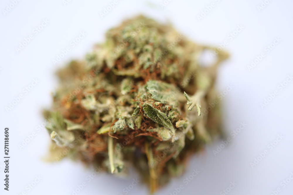 dry cannabis bud medical drug dry cannabis bud medical drug