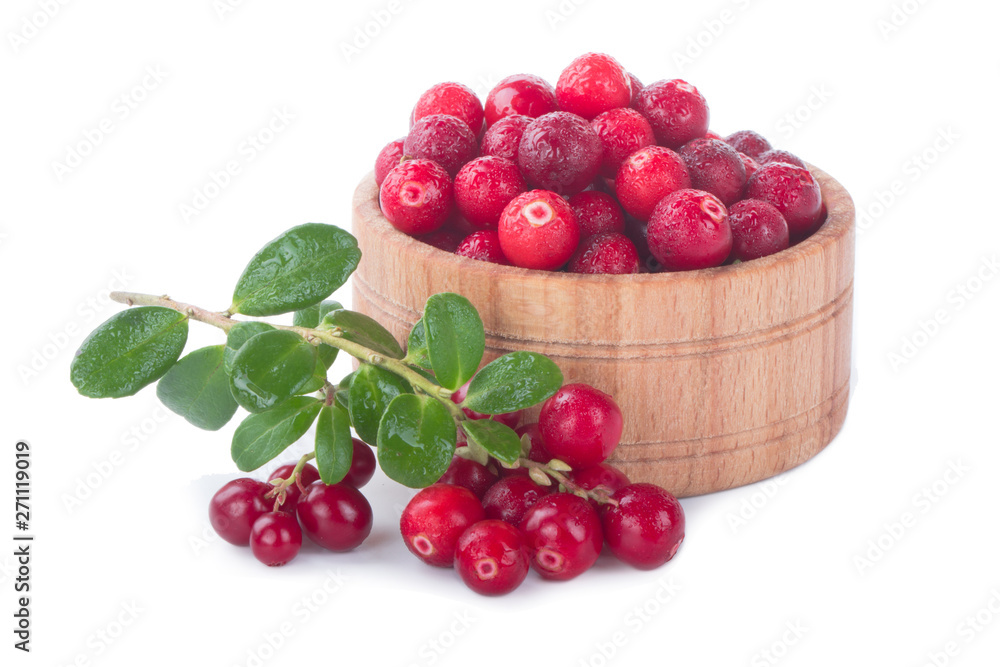 branch of fresh red cowberry and wooden cup isolated on white background branch of fresh red cowberry and wooden cup isolated on white background