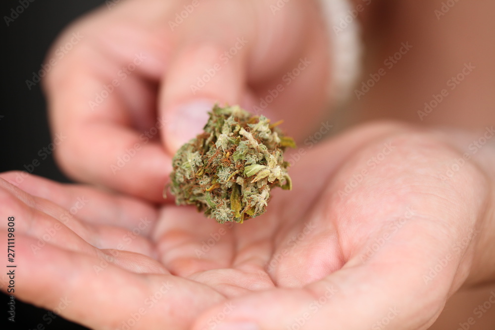 dry medical cannabis marijuana hand