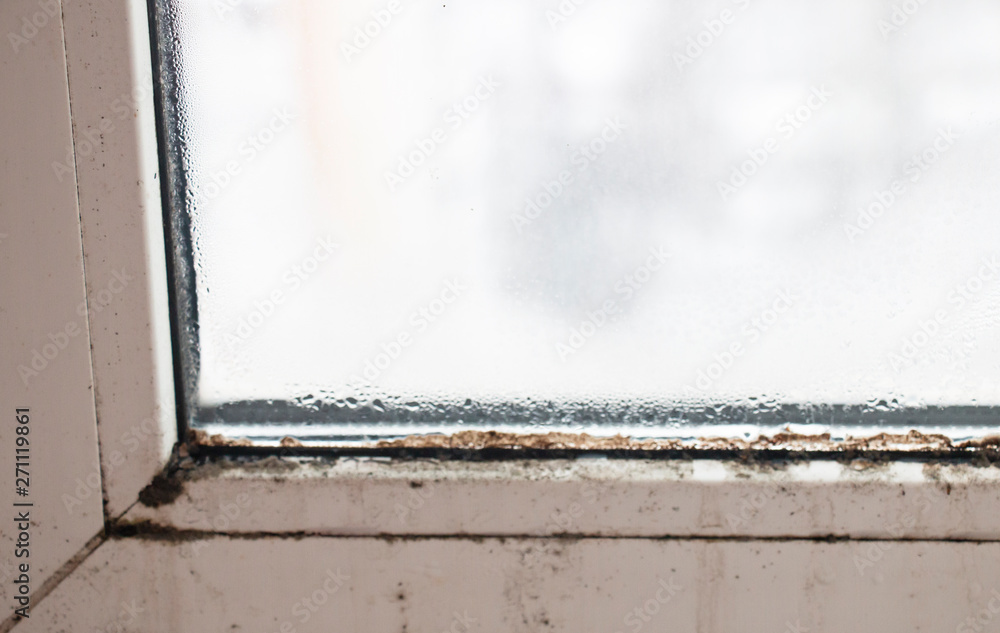 black mold on a plastic window, dangerous to humans black mold on a plastic window, dangerous to humans
