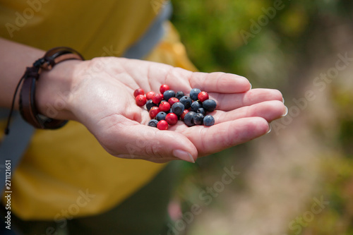 Fresh ripe blueberries in the woman hands. The concept of summer