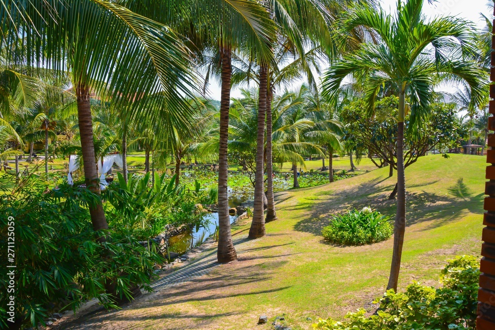 Beautiful view of the garden in Vietnam