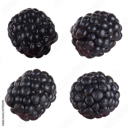set of blackberries isolated on white background