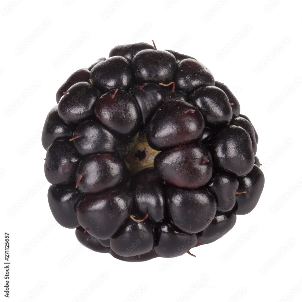 single blackberry isolated on white background single blackberry isolated on white background