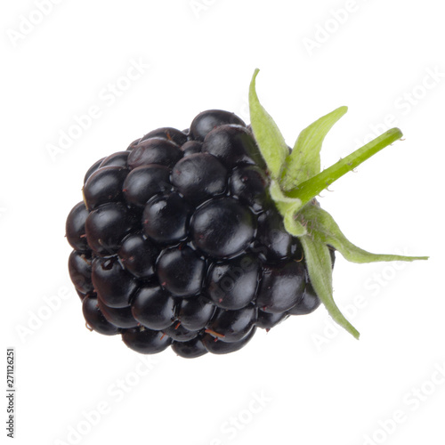 single blackberry isolated on white background