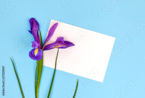 Mockup with card and iris