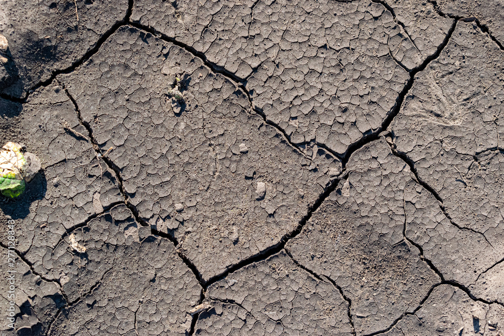 Fototapeta premium Cracked soil background