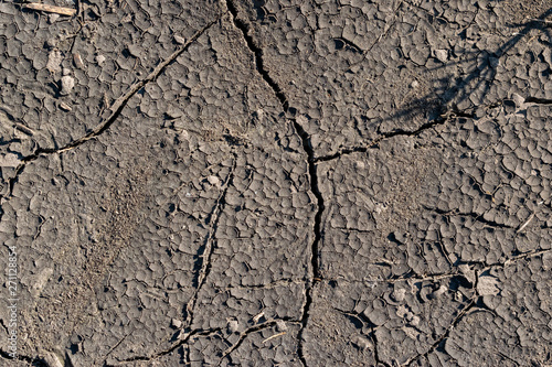 Cracked soil background