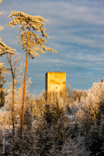 frosty morning in Landstejn castle, Czech Republic photo